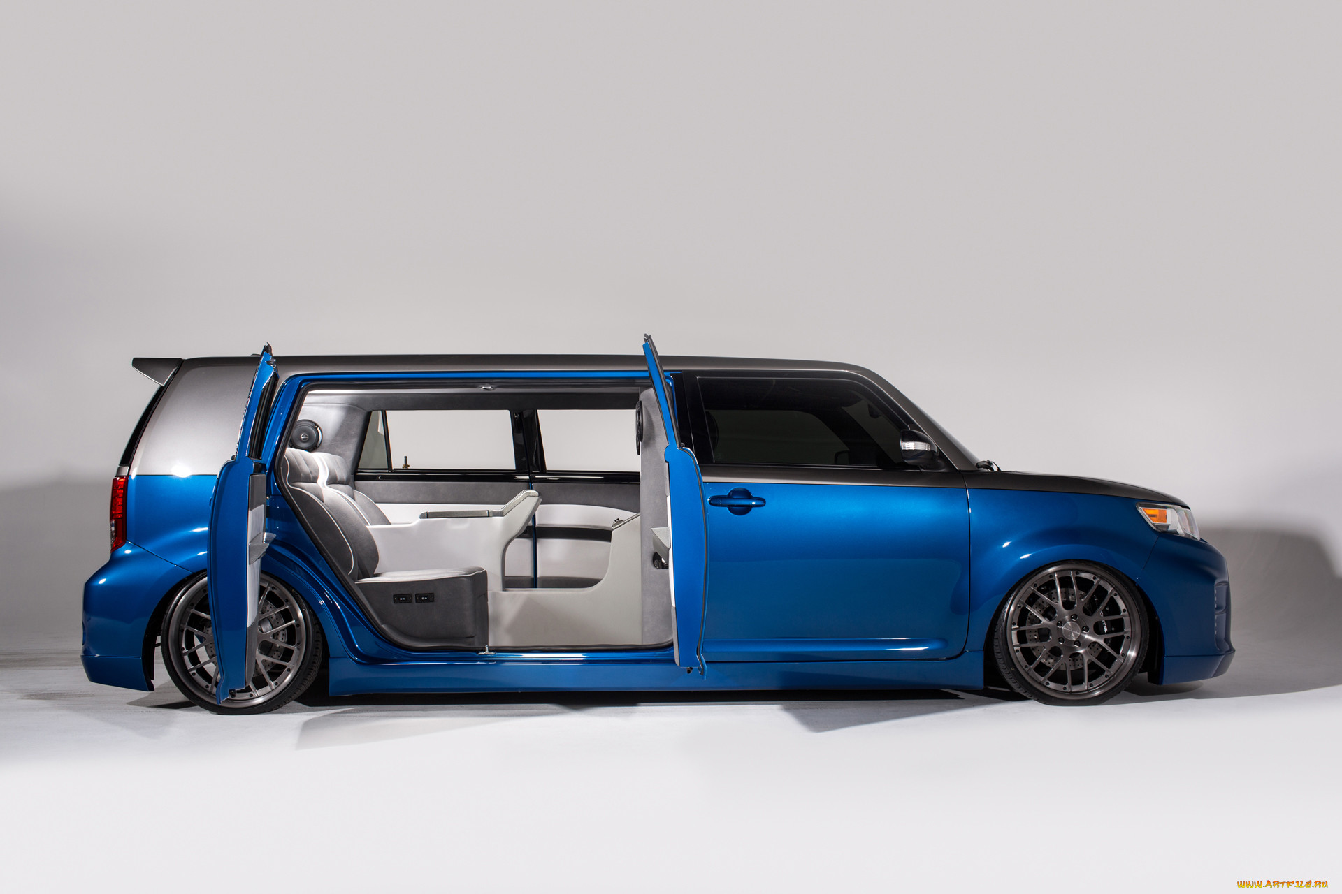 , scion